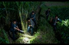 在城里憋疯的中产，开始捧红偷甘蔗农场