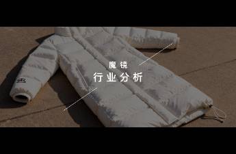 羽绒服销售额同比增长45.3高增长背后的品类与品牌逻辑