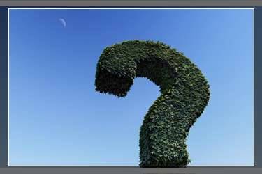 淘宝双12后还有优惠活动吗？淘宝双12之后还有活动吗